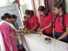 International Year Of Millet Celebration