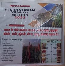 International Year Of Millet Celebration